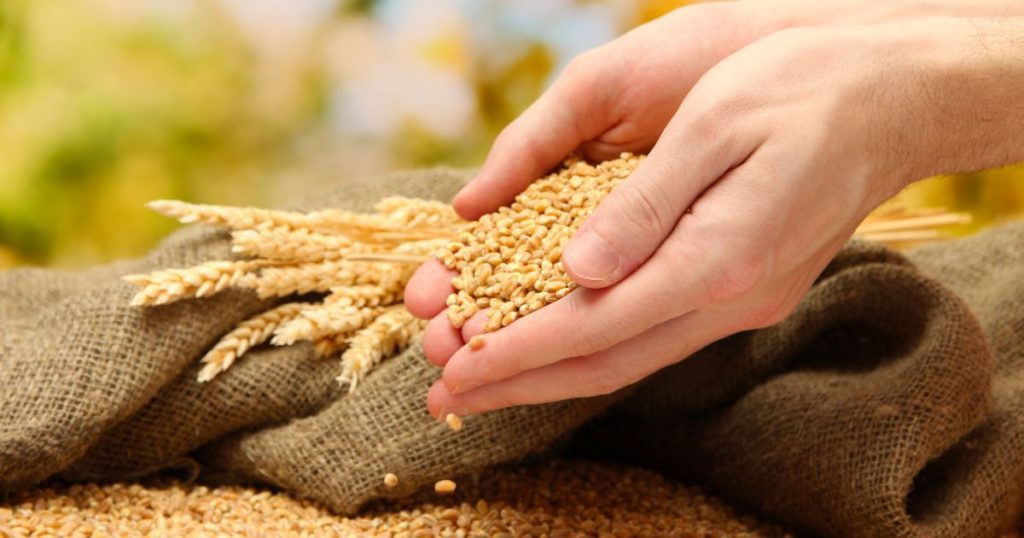 Your Detox Organs Need Dietary Fiber